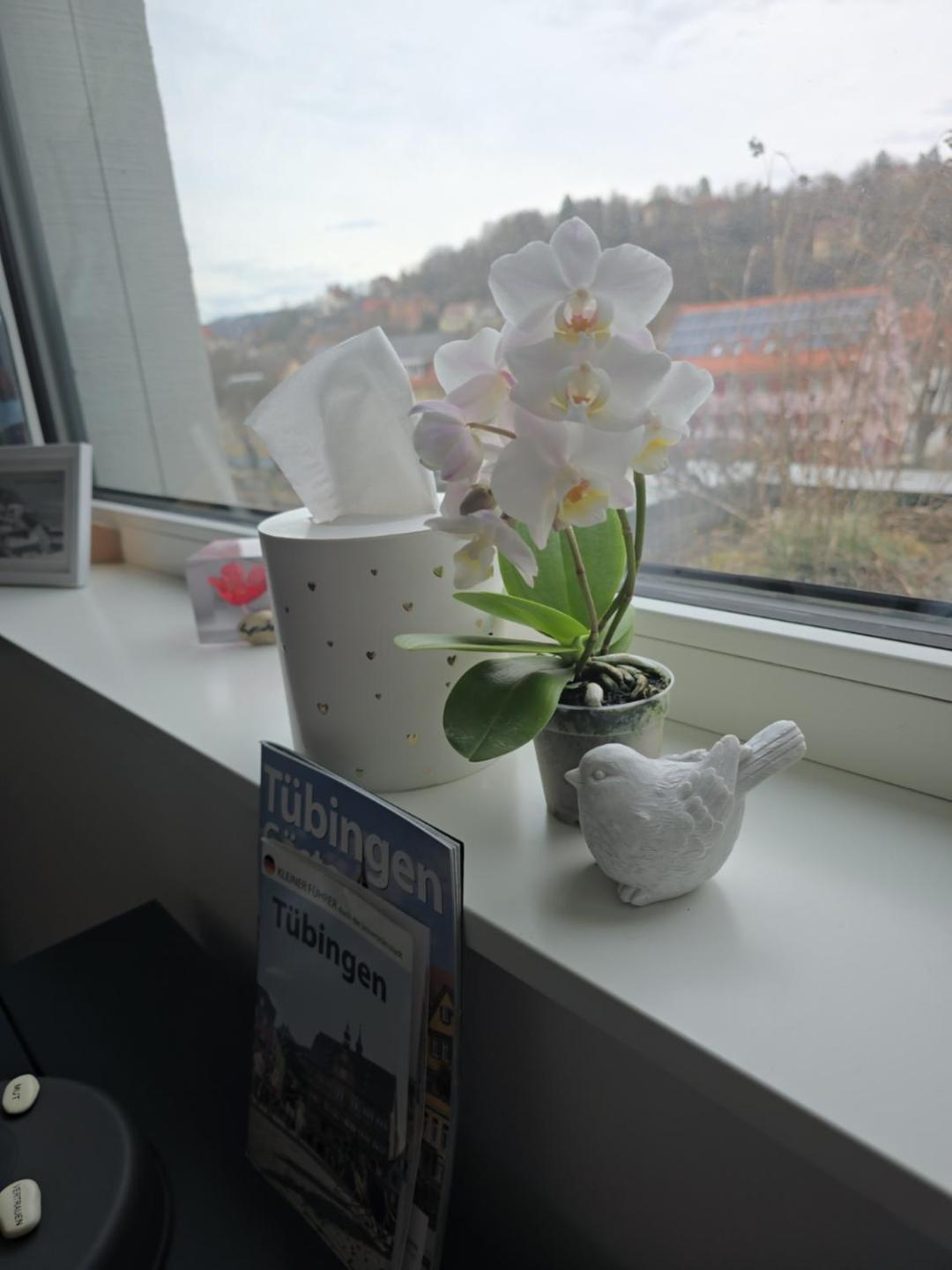 Stadtnahes Gaestezimmer Im Penthouse Bei Esi Tübingen Eksteriør bilde